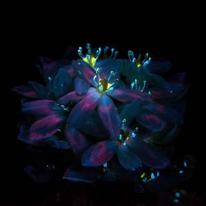 jiojio帮你打脚枪
